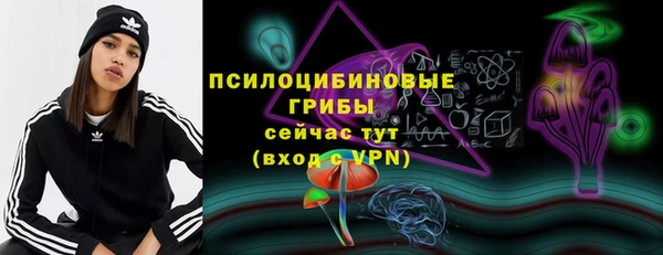 спиды Семилуки