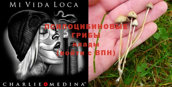 дживик Абинск