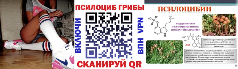 купить закладку  Заозёрный  Галлюциногенные грибы Magic Shrooms 